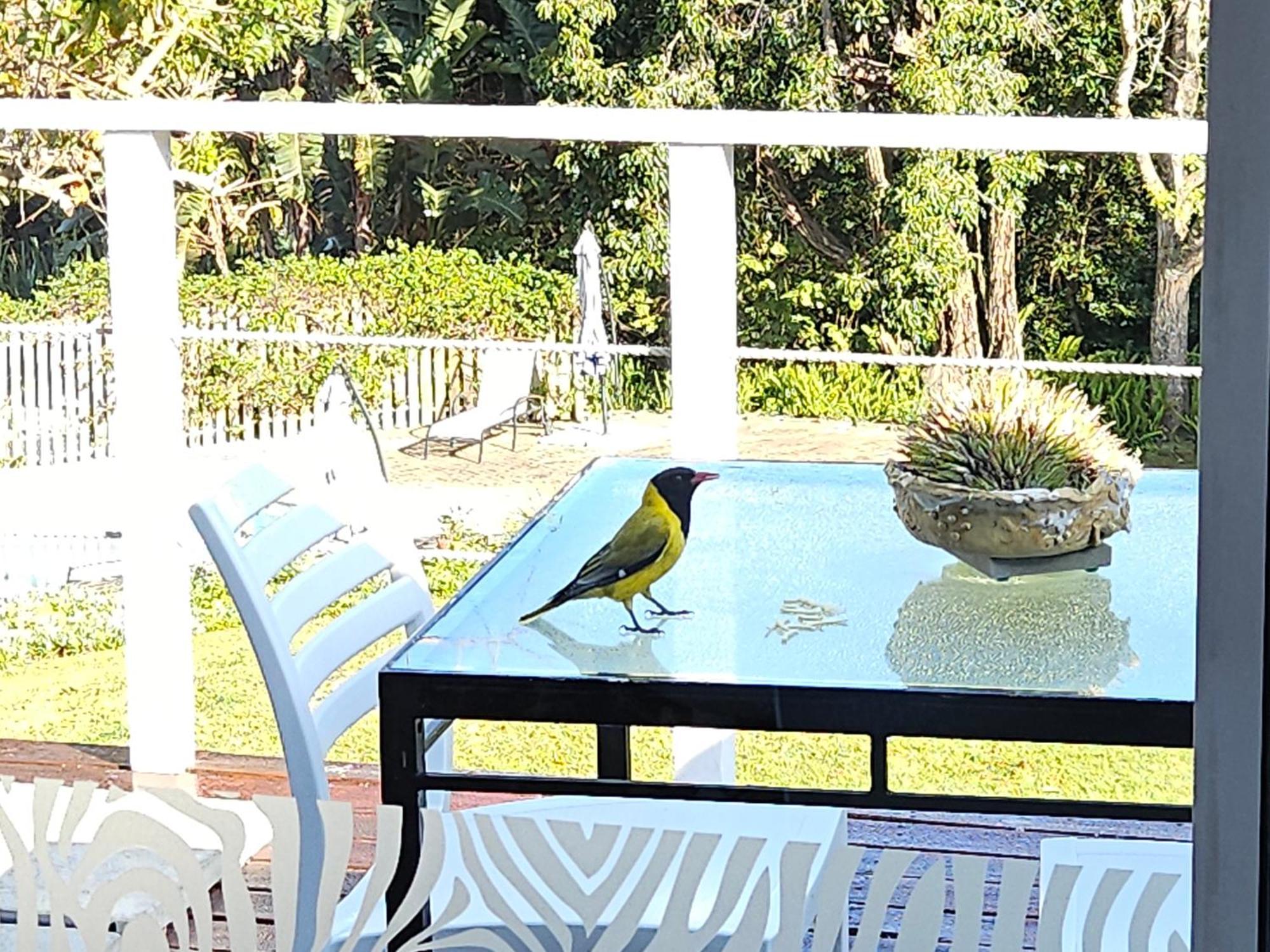 Stannards Guest Lodge 4 Star B&B, Knysna Ngoại thất bức ảnh